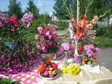 Синяя птица конкурсы всероссийские для детей Синяя птица конкурсы всероссийские для детей